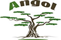 Vivero El Angol | Venta macro olivos bonsáis gigantes